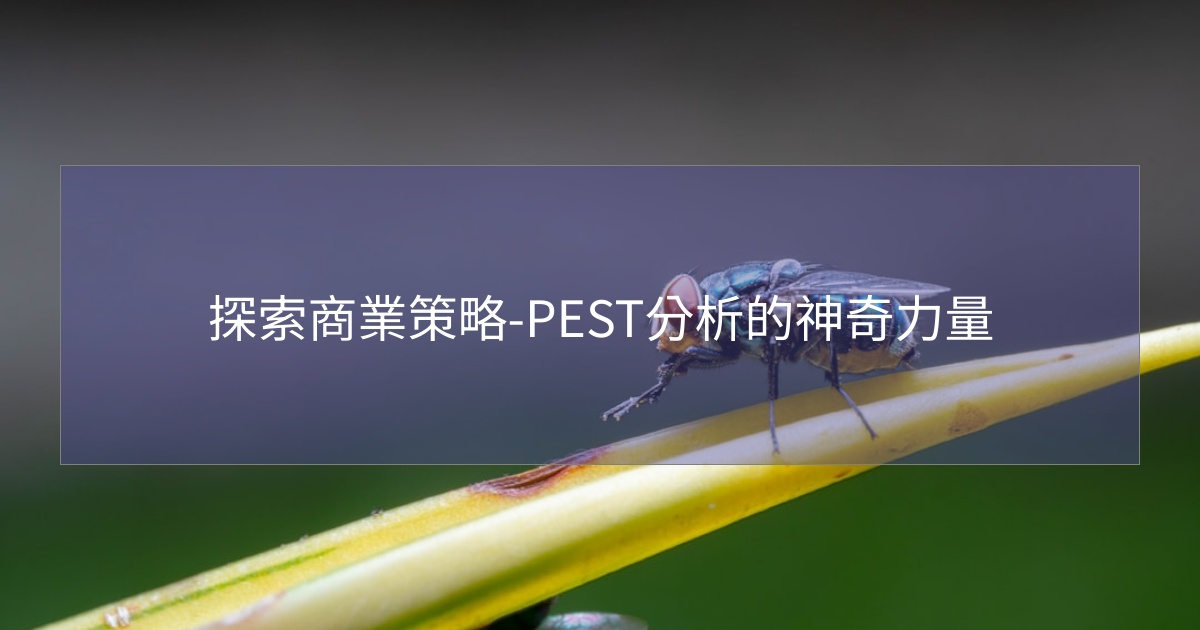 您目前正在查看 探索商業策略-PEST分析的神奇力量