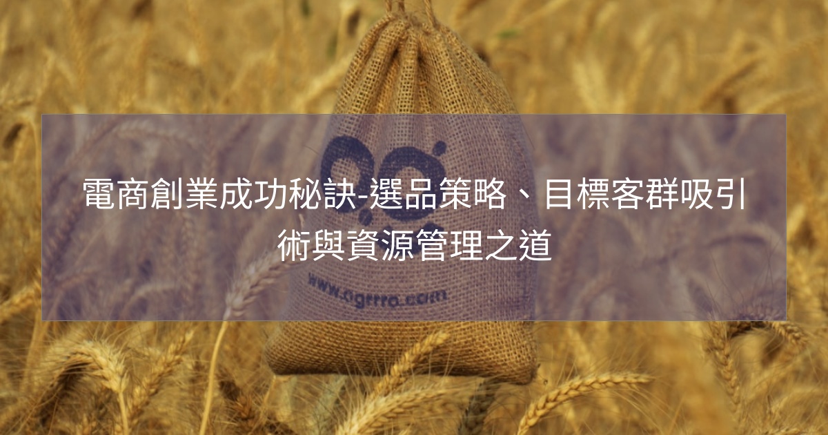 閱讀更多文章 電商創業成功秘訣-選品策略、目標客群吸引術與資源管理之道