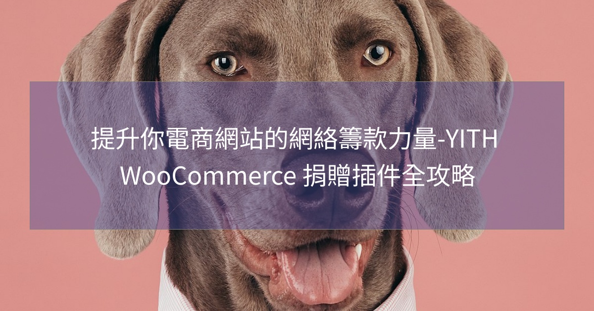閱讀更多文章 提升你電商網站的網絡籌款力量-YITH WooCommerce 捐贈插件全攻略